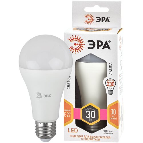 ������ 251� ��� ����� ������������ LED A65-30W-827-E27