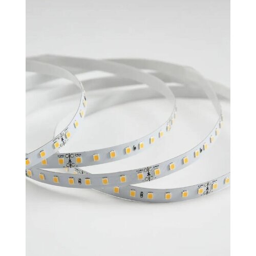  1300  24   5  SMD 2835, 120 LED/, 10 /, 24, IP20, 4000-4500, 1043, 8, RA-80