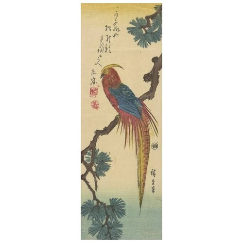  2250      (Kinkaicho (Golden Pheasant))   30. x 87.