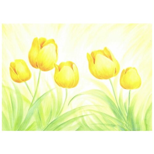  2540   (Tulips) 7 70. x 50.