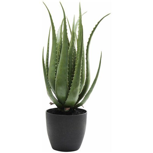 ������ 23205� KARE Design ������� ������������ Aloe, ��������� 