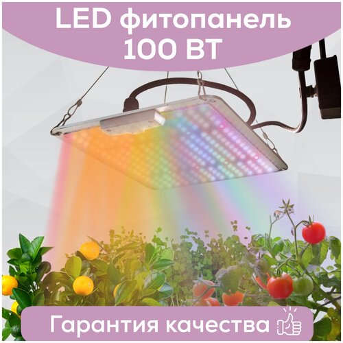  9100    Megaphoton LED 100 Quantum board (   )  , , 