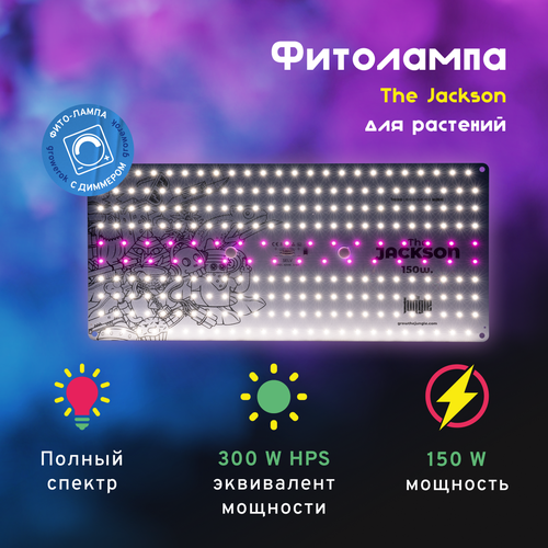  17900 LED  The Jackson 150W  