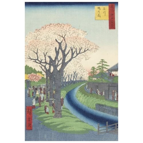  1340     (1856) (One Hundred Famous Views of Edo Blossoms on the Tamagawazutsumi Embankment)   30. x 45.