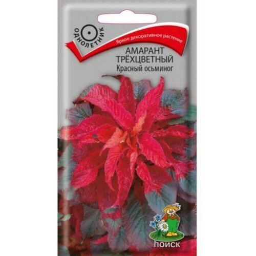 купить 220р Семена растения Амарант Красный осьминог трехцветный 0.1г Поиск