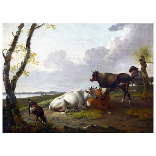  2530     (Cattle)    69. x 50.