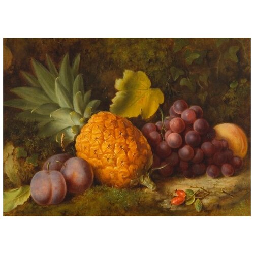 ������ 2530� ������ �� ������ ��������� (Still-life) �26 69��. x 50��.