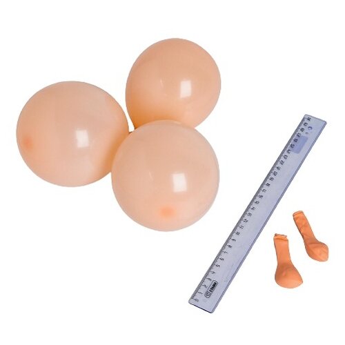 ������ 529� ��� ��������� 5