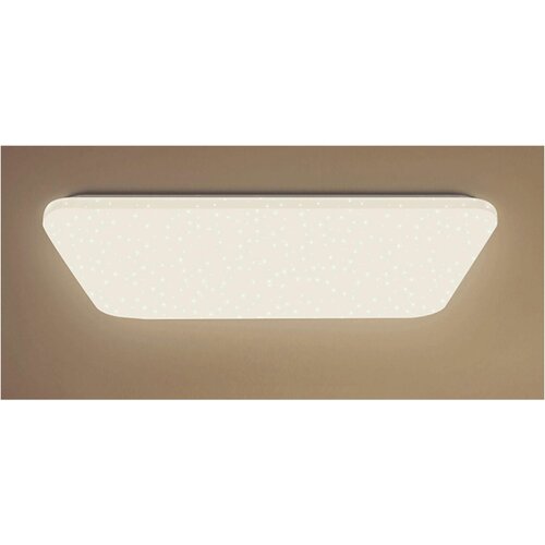  14130    Xiaomi Yeelight A2001R900 Ceiling Light (YLXD033)