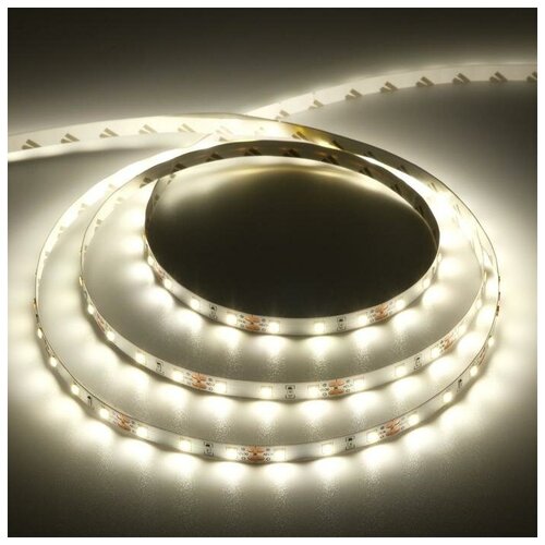  531   Ecola PRO 5 , IP20, SMD2835, 60 LED/, 8 /, 12 , 4200