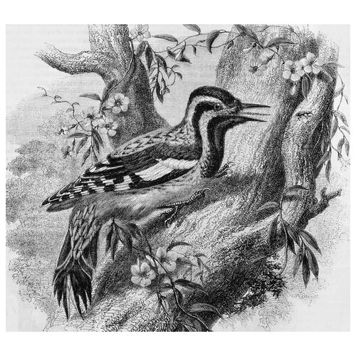  2150       (Bird on a tree) 56. x 50.