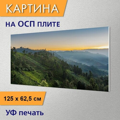 ������ 2960� �������������� ������� 