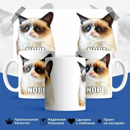  449 , Grumpy cat,  , , , 330