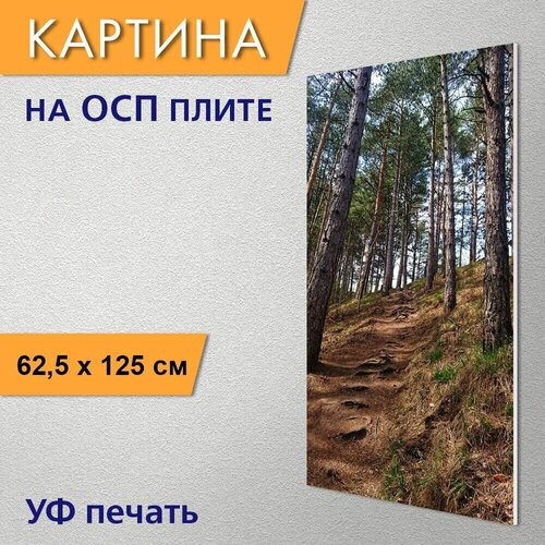 ������ 2950� ������������ ������� 