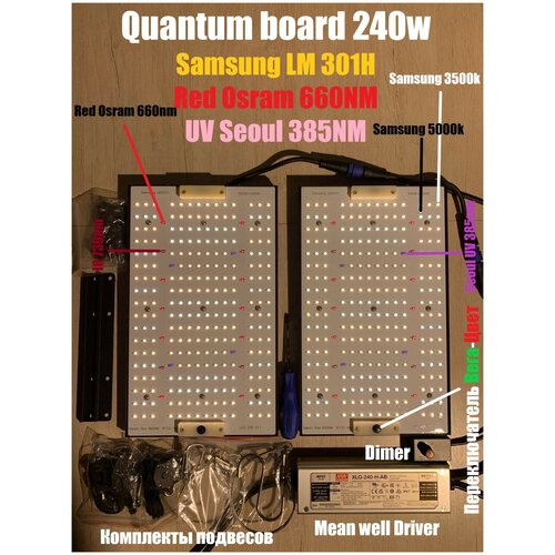  19999 Quantum board 260w Samsung LM301H OSRAM 660nm UV+IR (     ,  Bestva   240  )