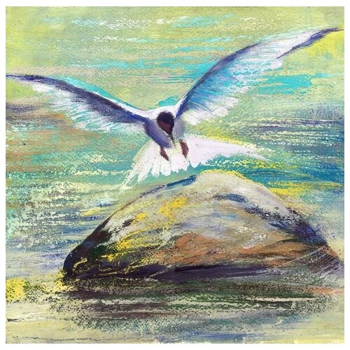  1980       (Seagull on a rock) 50. x 50.