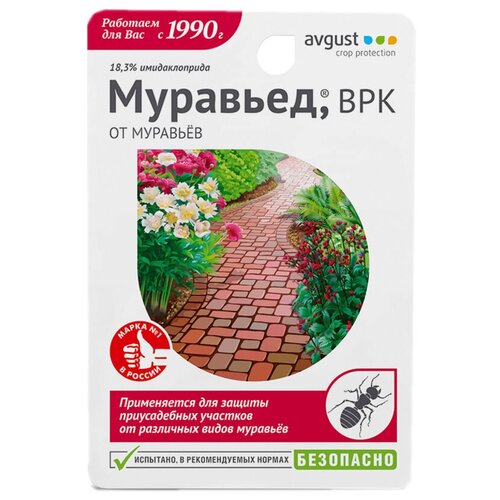 ������ 450� �������� �� ������� �������� Avgust ��������, 3 ������ �� 11 ��