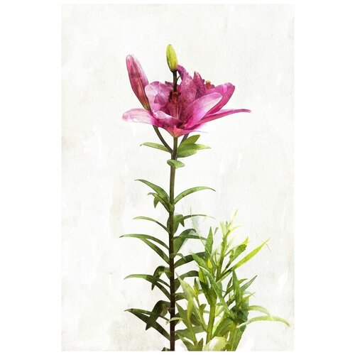  1950      (Pink flower) 2 40. x 60.