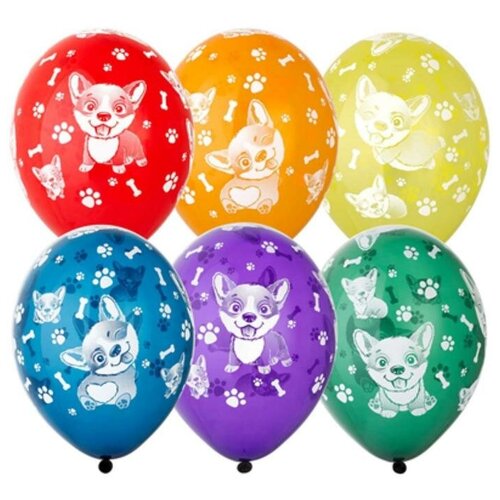 ������ 583� BELBAL ��� ��������� 14