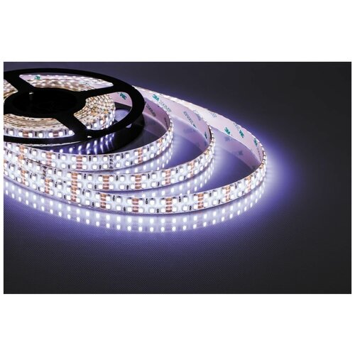  2571  , 240SMD(2835)/m 19.2W/m 12V 5m 6500, LS615