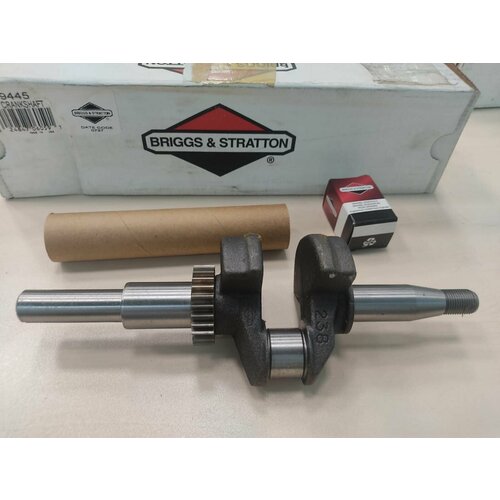  14200   ( 699454) BRIGGS&STRATTON