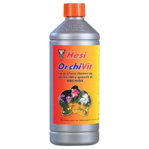  1672   Hesi Orchivit 1 