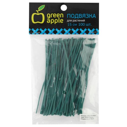      GREEN APPLE 100 13 ,  544 