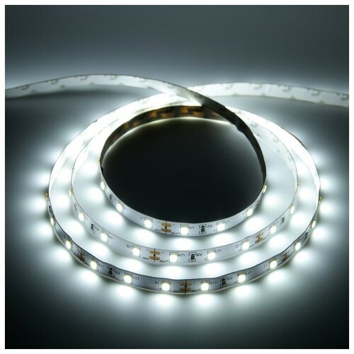  1456    General 5 , IP20, SMD2835, 60 LED/, 12 , 6500