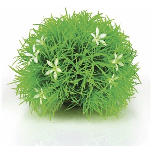 ������ 1489� ������������ ��� � ���������, Topiary ball with daisies
