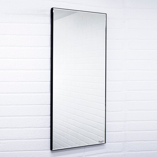  6000  Sansa Mirror Corsica 9040