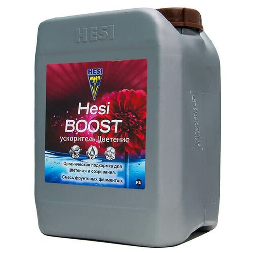  5250  Hesi Boost 5