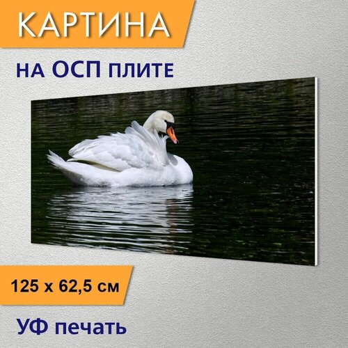 ������ 2980� �������������� ������� 