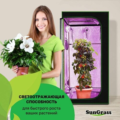  22230 SunGrass /     /  VGT09A - 240120200 