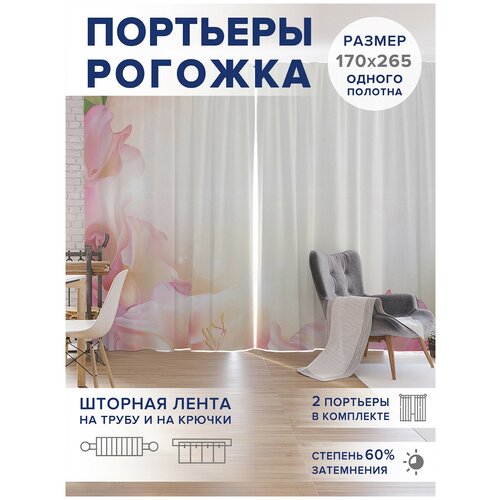 ������ 4749� �����, ��������� JoyArty 