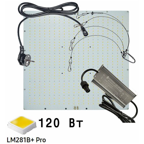  10600   Quantum board  Samsung lm281b+pro 3500K + 660, 120  3939 