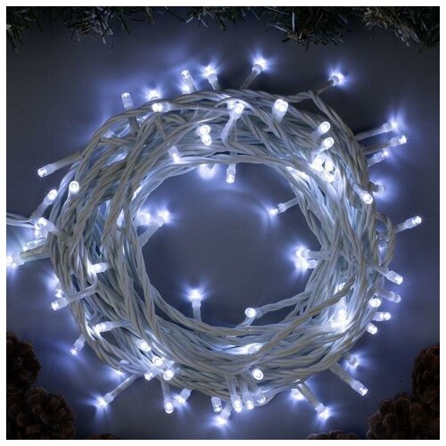  1115   , , 10 , IP44,  , 100 LED,  , 8 , 220 