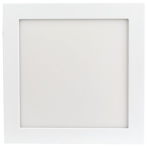  3789  DL-225x225M-21W Day White (arlight, IP40 , 3 )