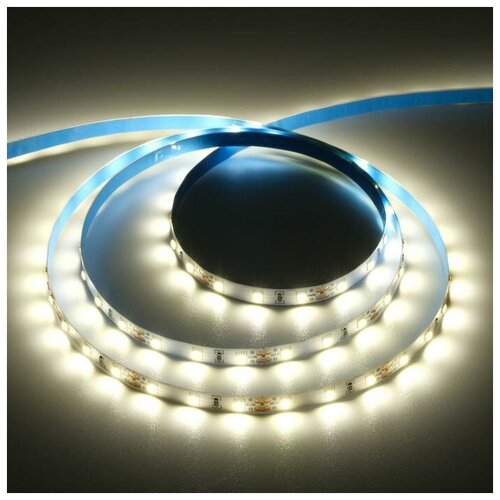  590   Ecola PRO 5 , IP20, SMD5060, 60 LED/, 11 /, 12 , 2800