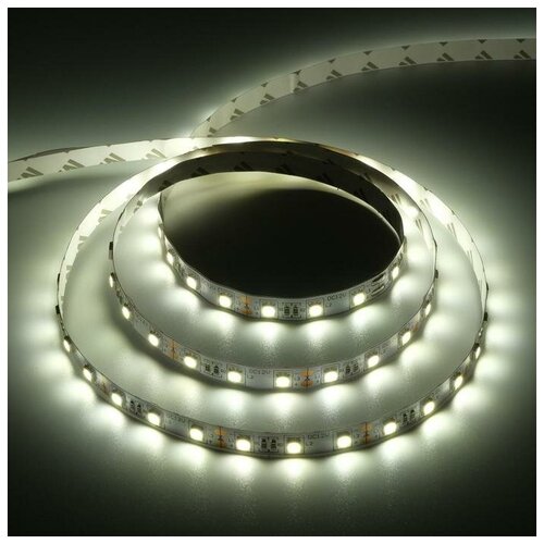  635   Ecola PRO, 12, SMD5050, 3 , IP20, 14.4/, 60 LED/, 4200 5501904