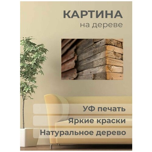 ������ 1001� ����������� ������� �� ������ 