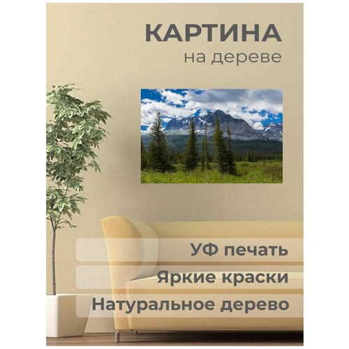 ������ 1001� ����������� ������� �� ������ 