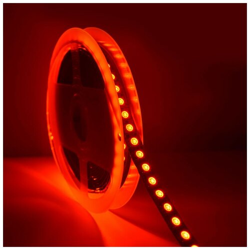  4100   SMD 5050, 120 /, , , 24, : RGB, IP33 -  :RGB