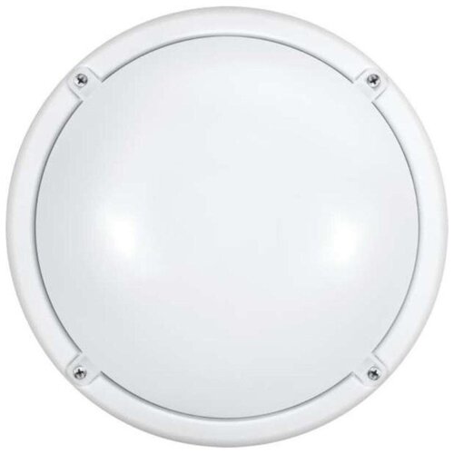  753   71 623 OBL-R1-12-4K-WH-IP65-LED-SNRV 12 4000 IP65 900   -.   . ( )  71623