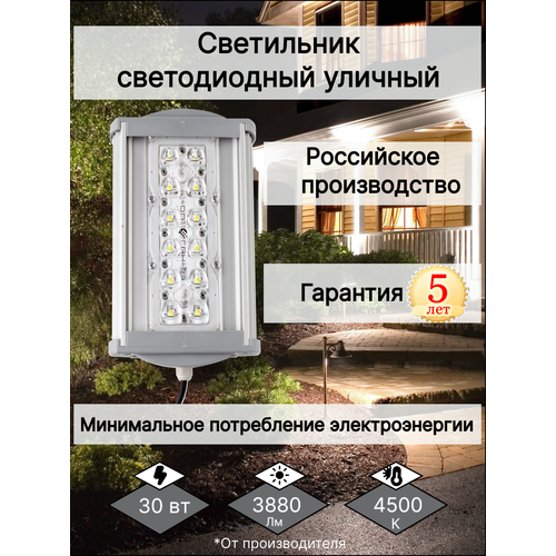  3943    -30 LED/  ,  ,  /       220V 30W 4000/5000 K 3880lm IP67