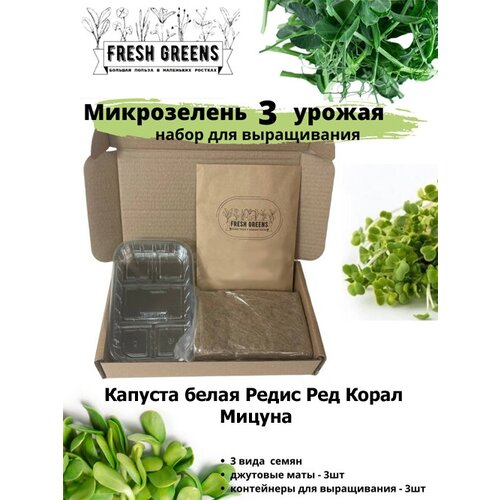  375     Fresh Greens (     )