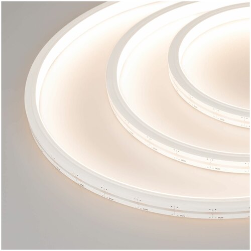  16497   MOONLIGHT-TOP-M252-13x12mm 24V White-MIX (12 W/m, IP67, 2216, 5m, Wire x1) (Arlight, 12 /, IP67)