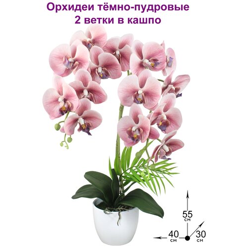 ������ 2466� ���������� �� ������������� ������� �����-�������� 2 ����� � ����� 55�� �� ��������