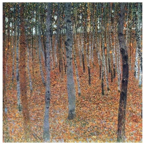  1000      (Birch forest) 2   30. x 30.