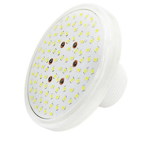  10306   Aquaviva LED028, 99 , 6-7 , 12  (  ),  -  1 