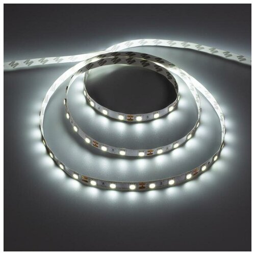  1142   Smartbuy 5 , IP20, SMD5050, 60 LED/, 14.4 /, 12 , 6500